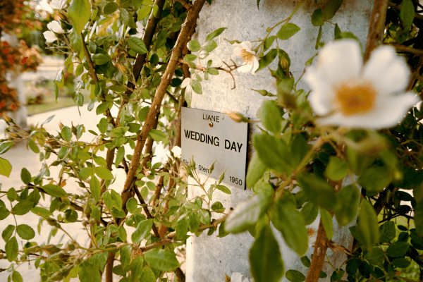 Decorative wedding day sign surrounded by greenery and white flowers at an outdoor wedding